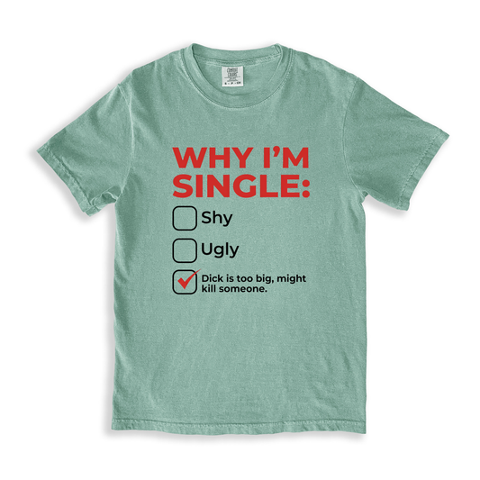 Why Im Single T-Shirt - Bay